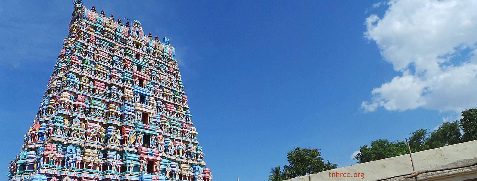 All 9 Navagraha Temples Puja Package
