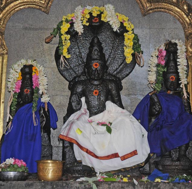 All 9 Navagraha Temples Puja Package