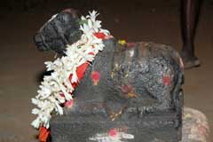 Puja For Ichchashakthi (Power To Fulfill Desires)