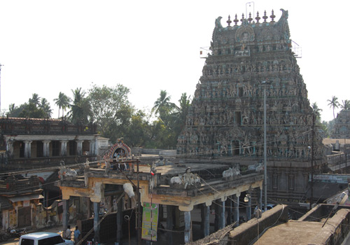 Puja For Relief From Sins Of Previous Birth