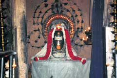 Puja For Relief From Sins Of Previous Birth
